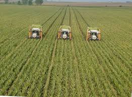 Un an agricol bun ar putea aduce: compensaţii la cvasistagnarea economică din T1 Un an agricol bun ar putea aduce: compensaţii la cvasistagnarea economică din T1