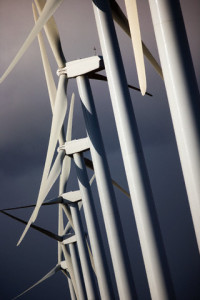 Row of wind turbines