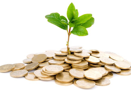 După un an agricol fenomenal, creditarea poate prinde aripi După un an agricol fenomenal, creditarea poate prinde aripi