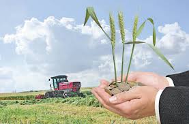 International Investment Bank împrumută Agricover Credit IFN cu 10 milioane de euro International Investment Bank împrumută Agricover Credit IFN cu 10 milioane de euro