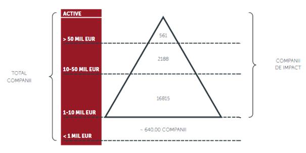 CITR: România vulnerabilă – 1% dintre companiile noastre au venituri mai mari decât restul de 99%