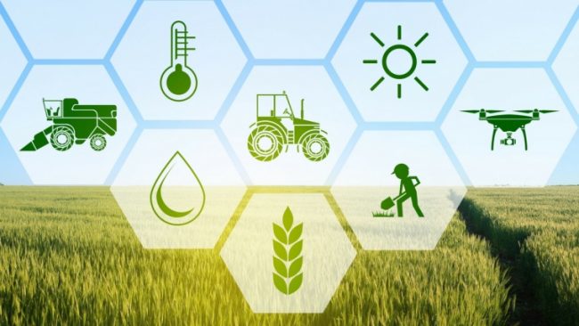 Agricultură: Comisia Europeană și Banca Europeană de Investiții aprobă o finanțare de 700 de milioane de euro în cadrul Planului de investiții pentru Europa pe fondul pandemiei de coronavirus Agricultură: Comisia Europeană și Banca Europeană de Investiții aprobă o finanțare de 700 de milioane de euro în cadrul Planului de investiții pentru Europa pe fondul pandemiei de coronavirus