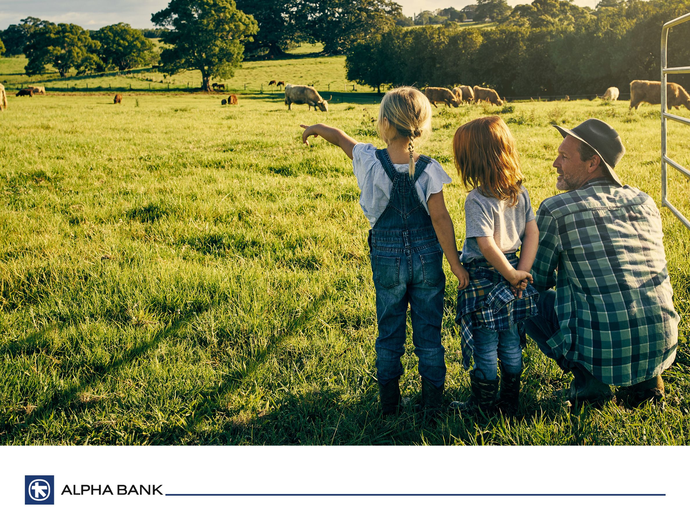 Alpha Bank Romania continuă parteneriatul cu APIA pentru finanțarea agriculturii