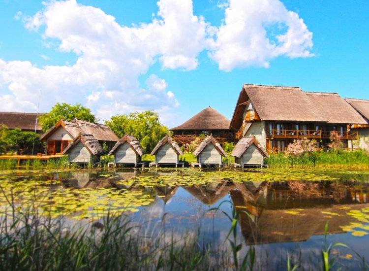 Dragoș Anastasiu își transformă resorturile din Deltă și de la Cund în birouri pentru corporatiștii care muncesc de acasă Dragoș Anastasiu își transformă resorturile din Deltă și de la Cund în birouri pentru corporatiștii care muncesc de acasă