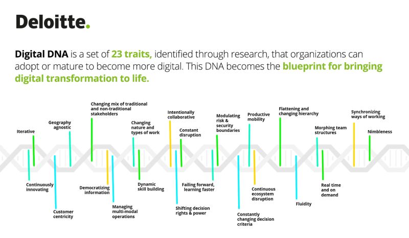 Deloitte România lansează Digital DNA, o soluție de evaluare a gradului de maturitate digitală a companiilor