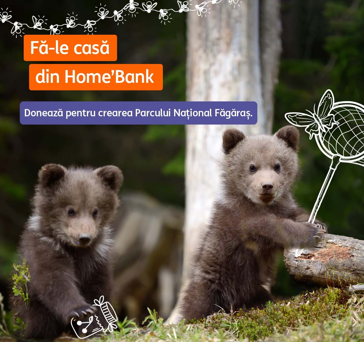 ING Bank România și Fundația Conservation Carpathia (FCC) își propun să strângă 100.000 de euro pentru protejarea naturii sălbatice din munții Făgăraș