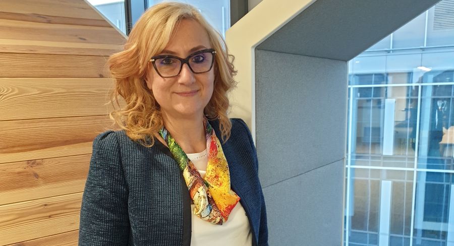 Lucica Pitulice este noul Chief Financial Officer al ING Bank România