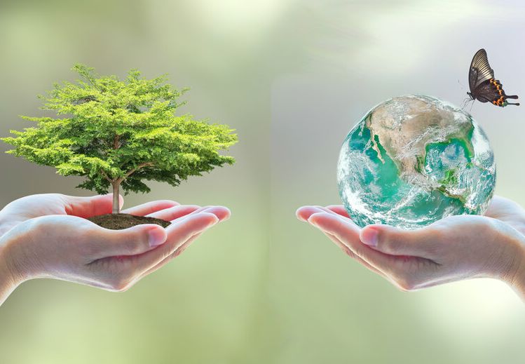 GreenCommunity, platformă online pentru susținerea economiei verzi GreenCommunity, platformă online pentru susținerea economiei verzi