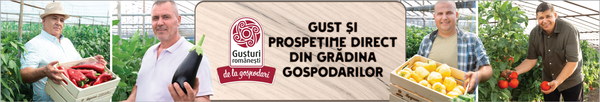 Peste 23.000 tone de legume și fructe românești pe rafturile Mega Image prin programul „Gusturi românești de la gospodari” Peste 23.000 tone de legume și fructe românești pe rafturile Mega Image prin programul „Gusturi românești de la gospodari”