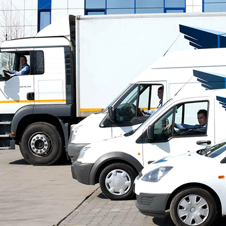 FAN Courier, 25 de ani de performanță la cel mai înalt nivel FAN Courier, 25 de ani de performanță la cel mai înalt nivel
