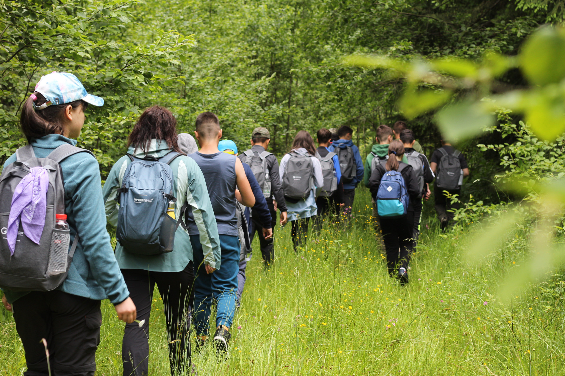 BCR și Fundația Conservation Carpathia,  parteneriat strategic pe 5 ani, pentru dezvoltarea proiectelor de educație în zona Munților Făgăraș