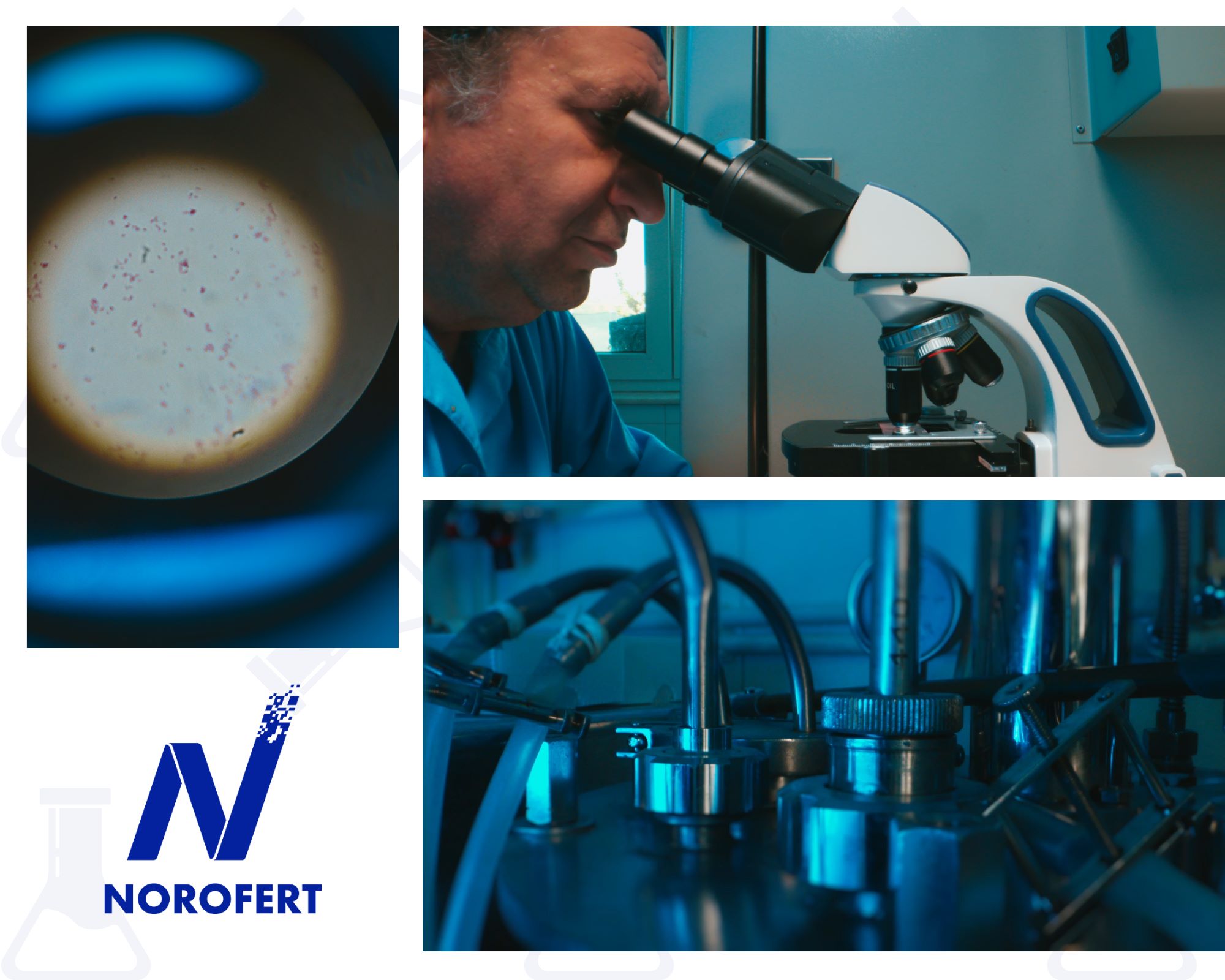 Norofert anunță finalizarea primei etape a laboratorului de cercetare și multiplicare microorganisme pentru agricultură, în urma unei investiții de 3 milioane lei