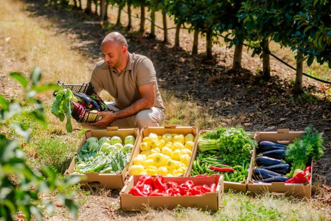 Producătorii din programul Grădina Noastră aduc sezonul legumelor și fructelor românești pe rafturile Carrefour