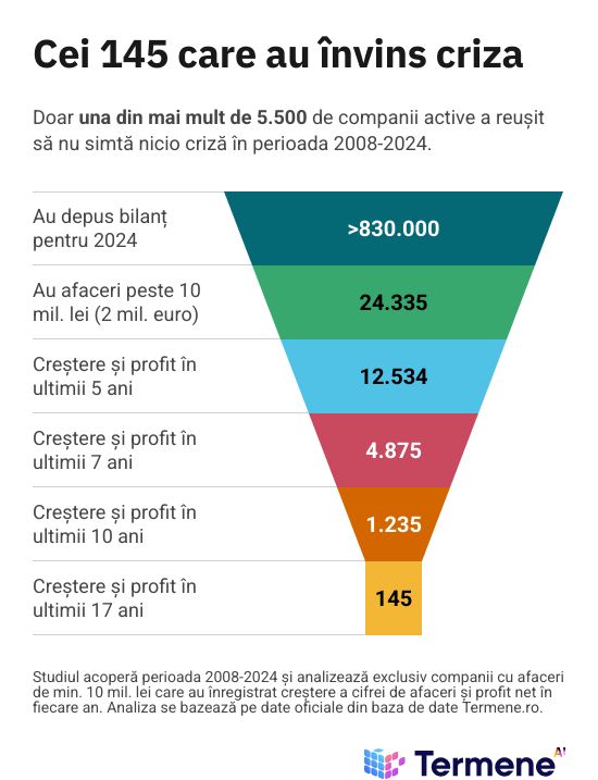 Analiza Termene.ro: Doar una dintre 5.500 de companii în România (145 în total) a reușit performanța de a crește în fiecare an din 2008 până în 2024