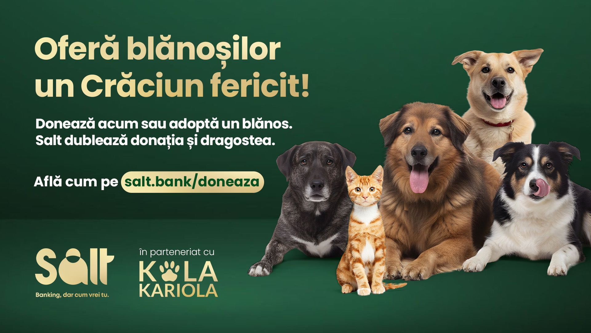 Campanie CSR – „Adoptă sau donează pentru blănoși, iar Salt îți dublează donația și dragostea”