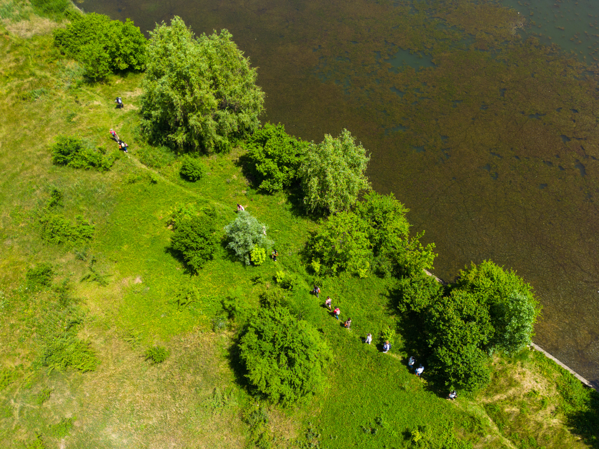 Societatea civilă cere candidaților la Primăria Capitalei asumarea a nouă priorități esențiale pentru un București cu un mediu sănătos