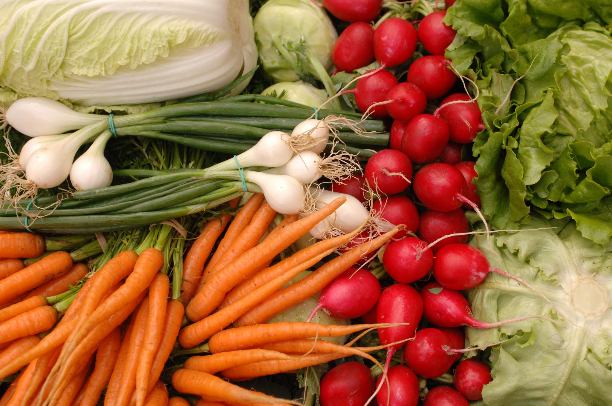 Agra Asigurări lansează o nouă poliță pentru sectorul legumicol