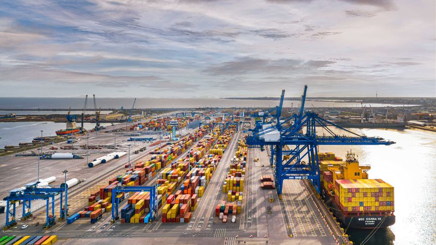 DP World a lansat un program de restaurare costieră în zona terminalului Constanța South Container Terminal