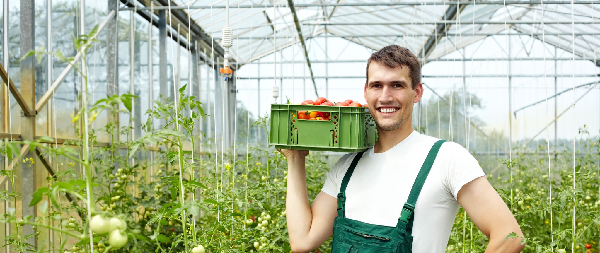 AFACERI CU RĂDĂCINI: Cursuri gratuite, sprijin și dobândă subvenționată pentru antreprenorii din mediul rural oferite de Patria Credit cu finanțare din partea Uniunii Europene AFACERI CU RĂDĂCINI: Cursuri gratuite, sprijin și dobândă subvenționată pentru antreprenorii din mediul rural oferite de Patria Credit cu finanțare din partea Uniunii Europene