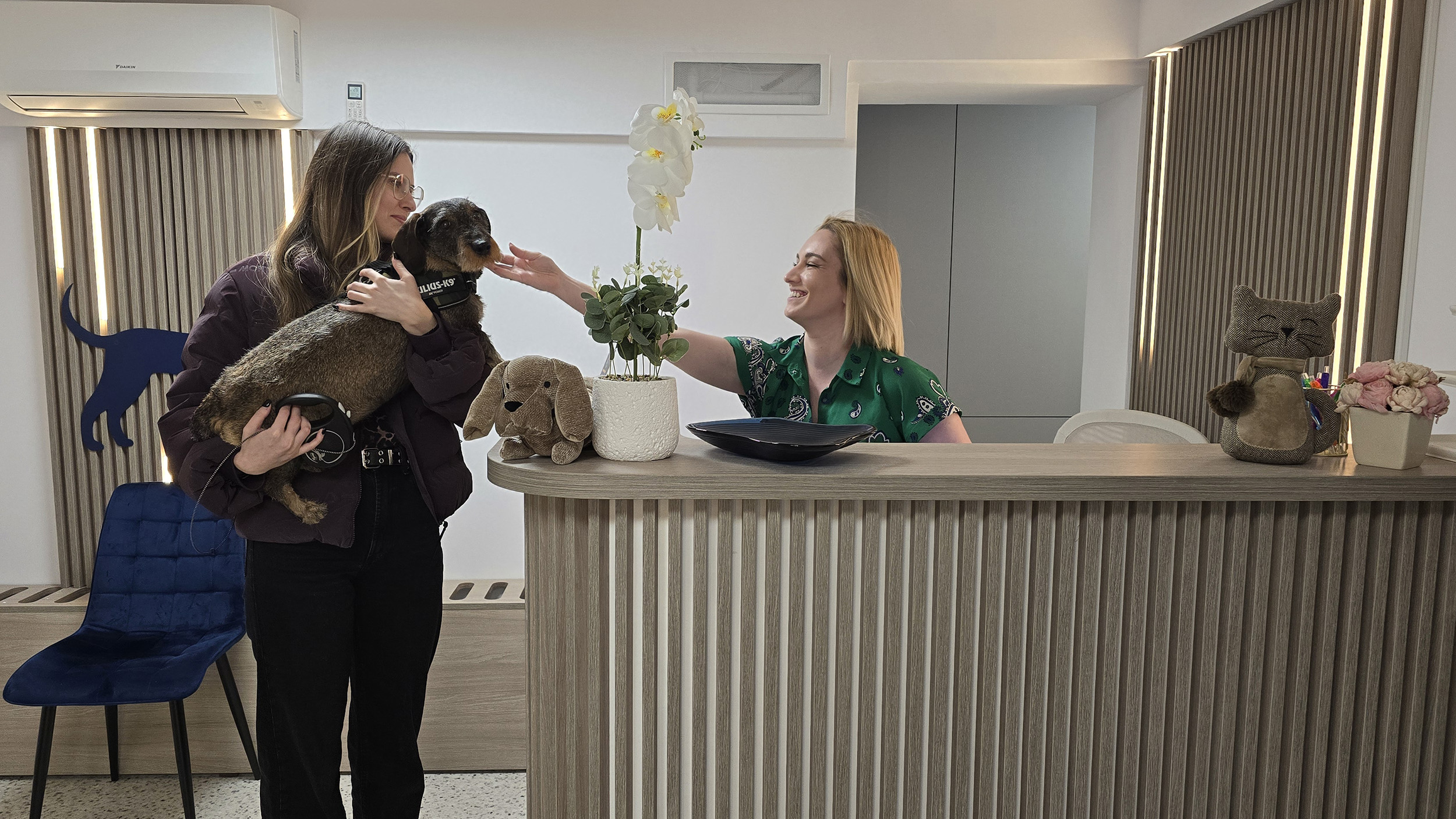 PartnerVet anunţă deschiderea primei clinici veterinare sub brand propriu, PartnerVet Dorobanţi PartnerVet anunţă deschiderea primei clinici veterinare sub brand propriu, PartnerVet Dorobanţi