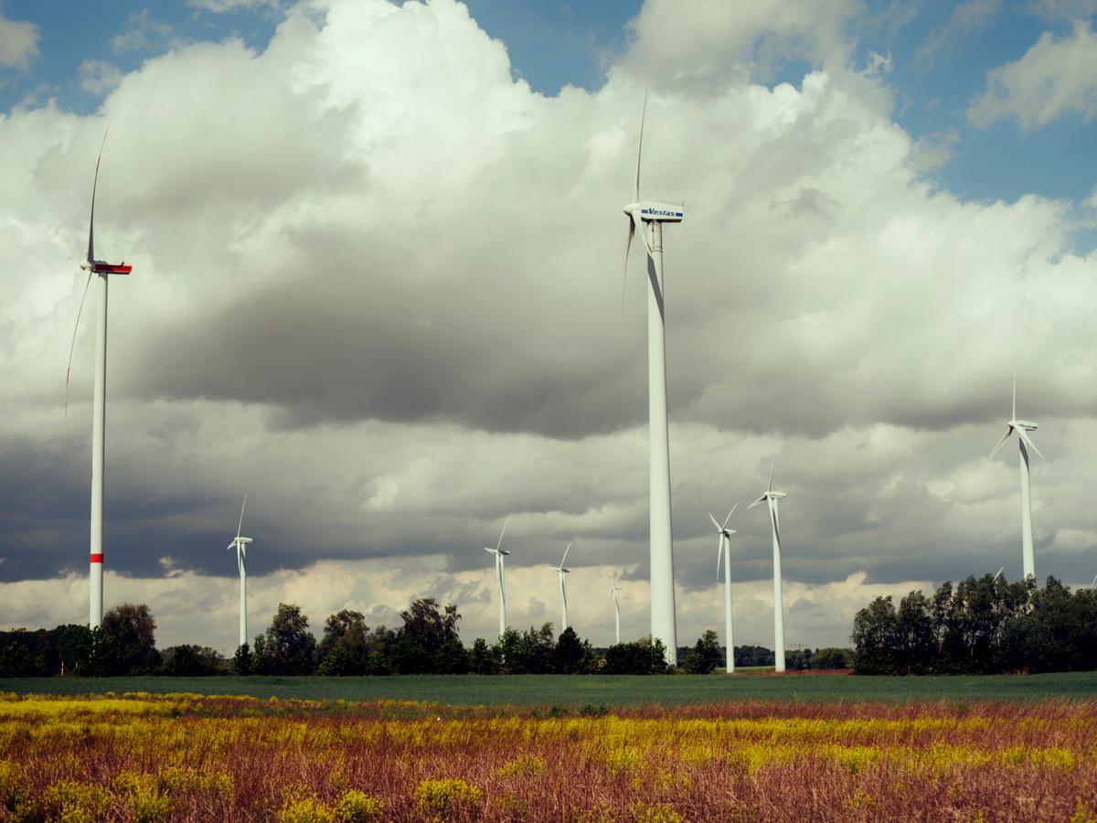 Eurowind Energy România începe construcția parcurilor eoliene Frumușița, Vector și Pecineaga Nord-Est Eurowind Energy România începe construcția parcurilor eoliene Frumușița, Vector și Pecineaga Nord-Est