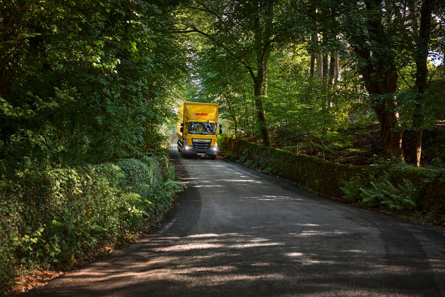 DHL Express România lansează serviciul Balkan Express, noua conexiune rutieră rapidă și eficientă dintre România și Bulgaria