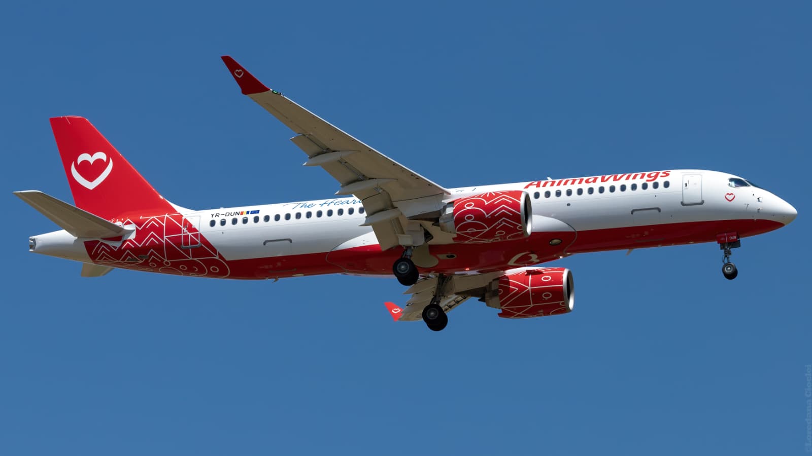 Analiză AnimaWings – 8 din 10 pasageri călătoresc cu bagaj de cabină Analiză AnimaWings – 8 din 10 pasageri călătoresc cu bagaj de cabină