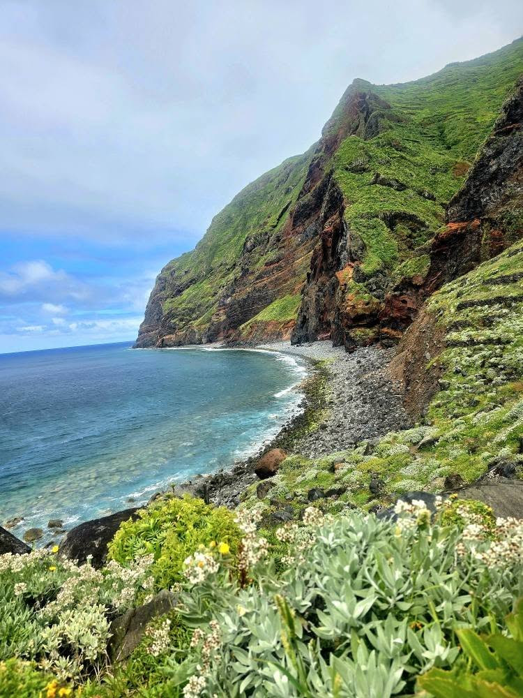 Madeira prin gusturi: 10 preparate și experiențe culinare de savurat în familie Madeira prin gusturi: 10 preparate și experiențe culinare de savurat în familie