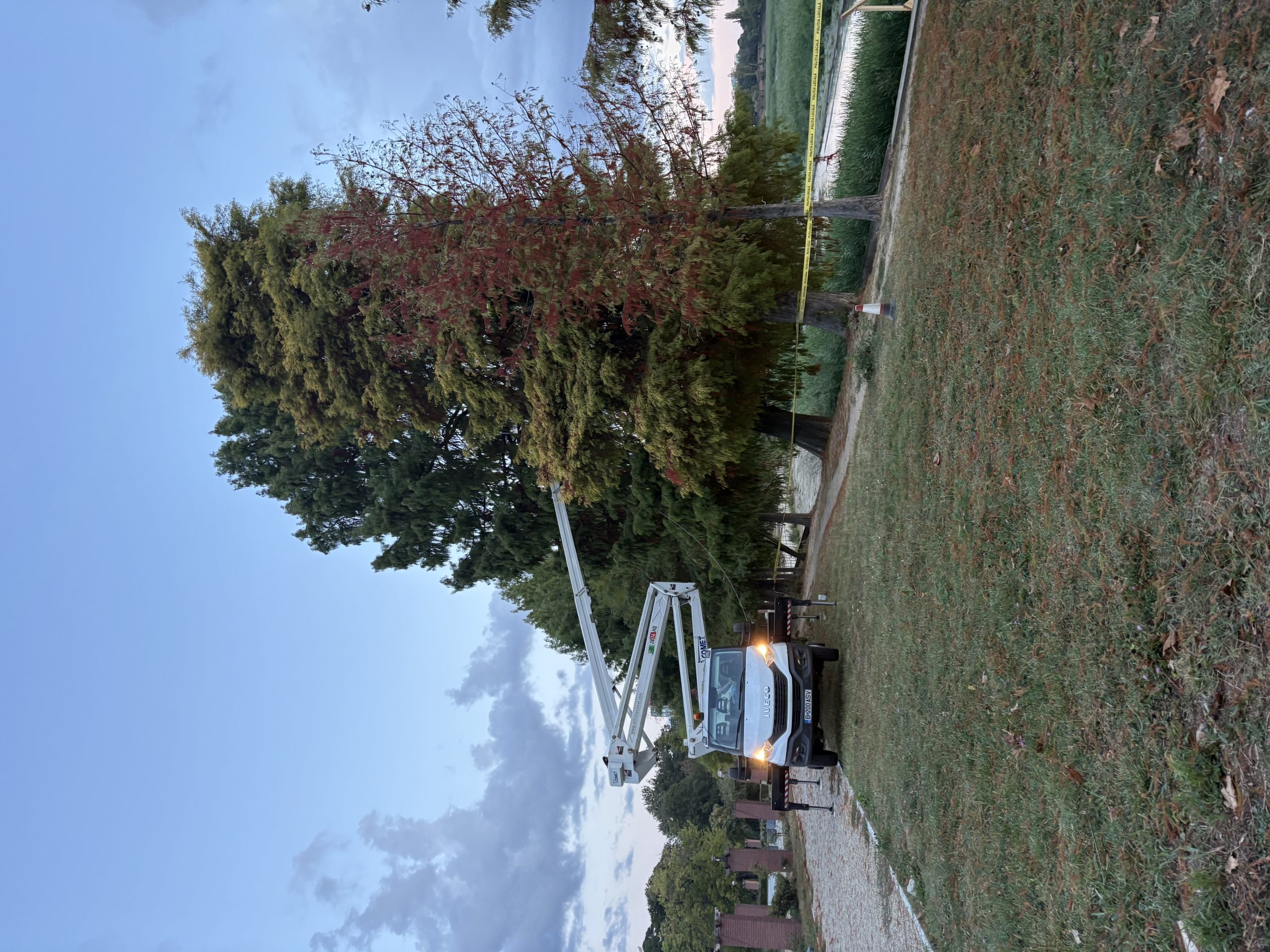 1.844 de arbori din jurul Lacului Herăstrău au fost evaluați de specialiști. Analiza stă la baza adaptării soluției de consolidare a malurilor pentru a salva arborii sănătoși 1.844 de arbori din jurul Lacului Herăstrău au fost evaluați de specialiști. Analiza stă la baza adaptării soluției de consolidare a malurilor pentru a salva arborii sănătoși